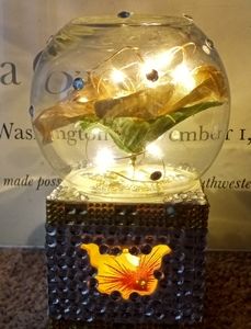 Battery Powered LED Globe Lamp